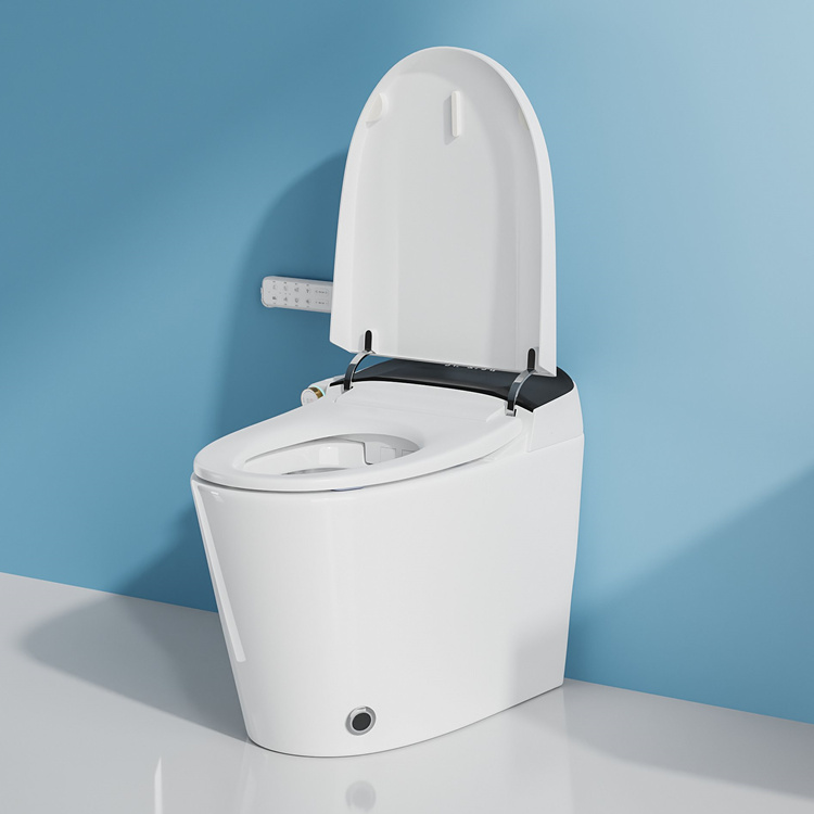 Умный электронный унитаз с авт – обзор и цена Home Bathroom